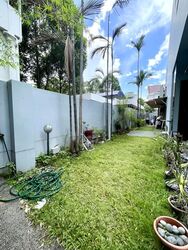 Haigsville Drive (D15), Semi-Detached #552501651